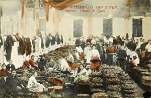 Izmir (Smyrna), Turkey - Large fig factory Izmir (Smyrna), Turkey - Large fig factory