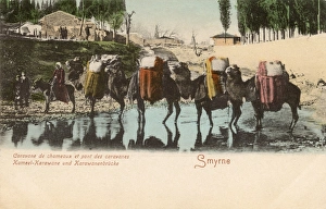 Izmir, Turkey - Camel Caravan - Kemer Bridge Izmir, Turkey - Camel Caravan - Kemer Bridge