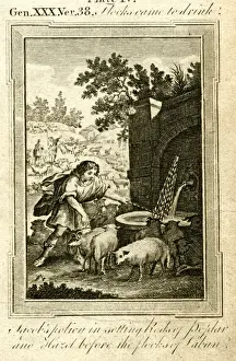 Jacob and the Flocks of Laban Print, 1787