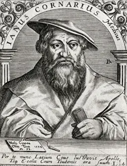 Historical Medical Artwork Prints: Janus Cornarus