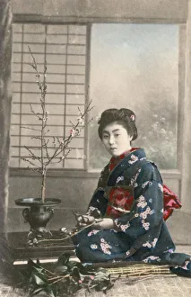 Japanese Geisha - Traditional flower arranging Japanese Geisha - Traditional flower arranging