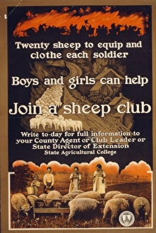 Join a sheep club Twenty sheep to equip and clothe each sold Join a sheep club Twenty sheep to equip and clothe each sold
