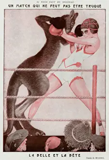Kangaroo Boxing Print, 1923