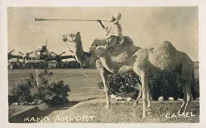 Kano Airport, Nigeria - Camel rider with horn Kano Airport, Nigeria - Camel rider with horn