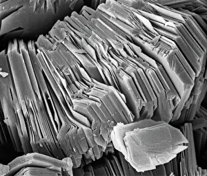 Scanning Electron Micrograph SEM Prints: Kaolinite