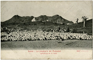 Kern, Eritrea - Ramadan Prayers - genuflection, third phase Kern, Eritrea - Ramadan Prayers - genuflection, third phase