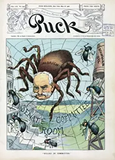Killed in Committee: 1906 Senate Committee Room Print