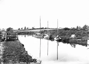 Prints of Kinnego, Lurgan - a view of boats moored on a river and a cow to the right. (Location: Northern Ireland; County Armagh; Lurgan). Date: circa early 1900s River Prints: Early 20th Century Print of Kinnego, Lurgan River Scene