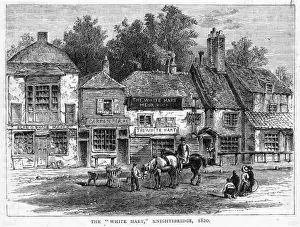 The White Hart Knightsbridge Print