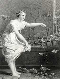 Images Dated 18th July 2018: A lady feeds her pet birds