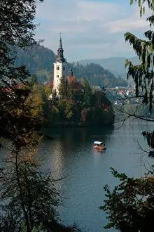 Prints of View of Lake Bled with the Pilgrimage Church of the Assumption of Mary, near the town of Bled in north west Slovenia. Built in the 15th century, weddings are held regularly at the church Slovenia Prints: Lake Bled Print with Pilgrimage Church of the Assumption