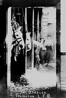 LCC-LFB Islington fire station stables LCC-LFB Islington fire station stables