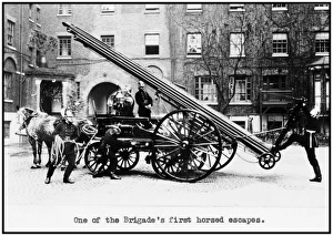 LCC-MFB horse drawn wheeled escape cart LCC-MFB horse drawn wheeled escape cart