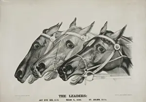 American Horse Racing Prints: The leaders