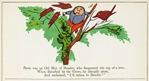Prints of There was an Old Man of Dundee, who frequented the top of a tree; When disturbed by the crows, he abruptly arose, and exclaimed, I ll return to Dundee Related Prints: Print of Lear's Nonsense Dundee Tree