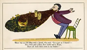 Whimsical Illustrations Online Prints: Lear / Nonsense / Man / Beard