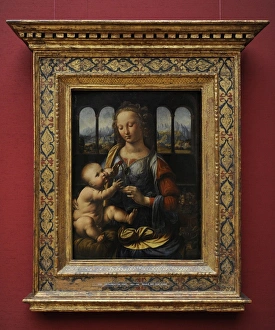 Leonardo da Vinci (1452 A?i? 1519). The Madonna of the Carn Leonardo da Vinci (1452 A?i? 1519). The Madonna of the Carn