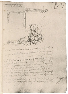 Leonardo Flying Machine