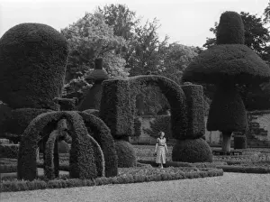 Prints of The gardens of Levens Hall, near Kendal, Westmorland (Cumbria), England, which possess what many consider to be the finest display of topiary in the country. Date: 1930s Westmorland Prints: Levens Hall Topiary Print, Cumbria, England 1930s