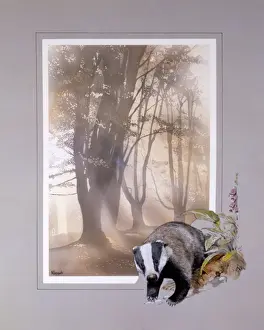 Malcolm Greensmith Artist Prints: Light through the trees with Badger border