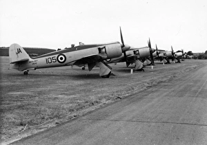 A lineup of Hawker Sea Fury FB11s, including VW242 A lineup of Hawker Sea Fury FB11s, including VW242