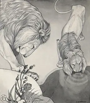 Raymond Sheppard Art Prints: Lions drinking from a still pool