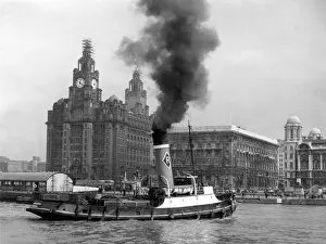 Prints of The Mersey tug The Minegarth, approaching the Pier Head at Liverpool, Merseyside, England, with the Royal Liver Building beyond. Date: 1950s Merseyside Prints: Liverpool & Mersey Tug Print: The Minegarth at Pier Head