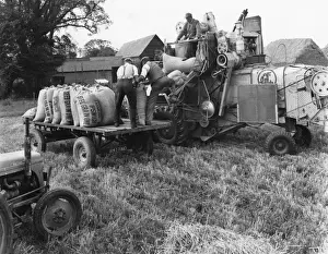 Framed Print : Loading Threshed Barley Print Framed Print : Loading Threshed Barley Print