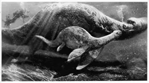 Loch Ness Monster Print