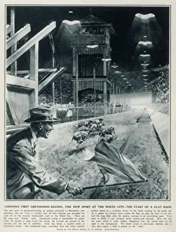 Dog Racing Prints: Londons First Greyhound Racing at White City Print