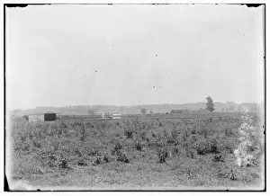 Wright Brothers Flight Prints: Long-range view of machine on launching track, showing hanga