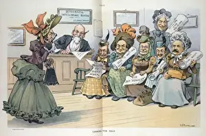 Democratic Party Seeking Candidates Print, 1903