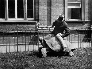 Lord Lionel Walter Rothschild (1868-1937) Lord Lionel Walter Rothschild (1868-1937)