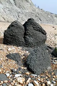 Lyme Regis Fallen Blocks Print of Lower Jurassic Rocks