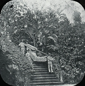 Madeira, The Hammock mode of Travelling Madeira, The Hammock mode of Travelling