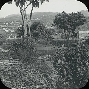 Madeira, view from the verandah of hotel Madeira, view from the verandah of hotel