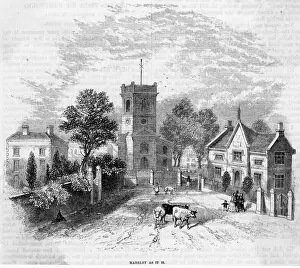 Village Prints: Madeley, Shropshire: Cattle in Village Street Print