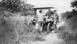 Main road to Malindi, Kenya, East Africa Main road to Malindi, Kenya, East Africa