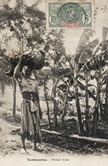 Mali - Timbuktu - Water Carrier and Banana plant Mali - Timbuktu - Water Carrier and Banana plant