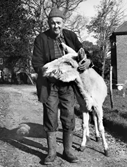 Funny Pet Pictures Prints: Man and mule