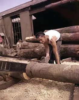 Man in a Timber Yard Print, Devon, circa 1960s