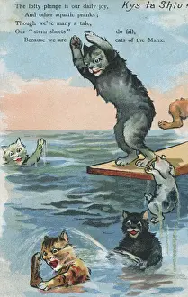 Prints of Manx Cats go for a swim. This card bears the Manx text Kys ta Shiu?, which translates as How are you?'. Date: 1907 Isle Of Man Prints: Manx Cats go for a swim, 1907 Print