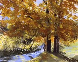 Malcolm Greensmith Painting Prints: Maple Fall