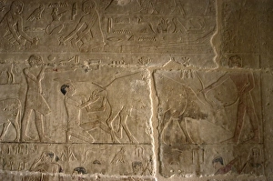 Mastaba of Nefer and Kahay. Relief. Two ranchers attending t Mastaba of Nefer and Kahay. Relief. Two ranchers attending t