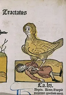 Mythical Creatures In Art History Prints: A Medieval nightmare