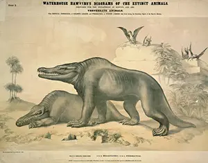 Megalosaurus and Pterodactyle Print, c. 1862