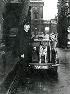 Metropolitan police officer with dog at back of van Metropolitan police officer with dog at back of van
