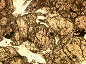 Zagami Shergottite Microscope Print, Shocked Pyroxene Grains
