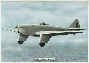 Early 20th Century Flight Technology Prints: Miles Sparrowhawk