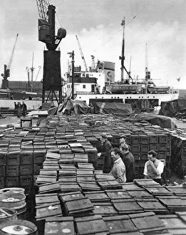 Trans-Antarctic Expedition Prints: Millwall Docks Print: Theron Prepares for Commonwealth Expedition